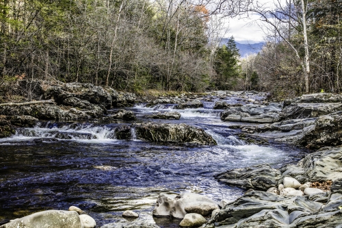 Late-Fall-on-the-Little-Pigeon-River