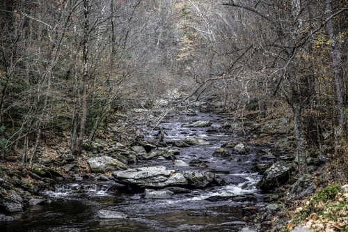 Little-River-in-Late-Fall