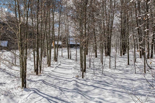 A winter walk to a ghost town