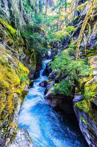 Cascades in Glacier NP