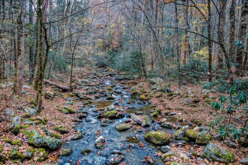 Late Fall on the Little River