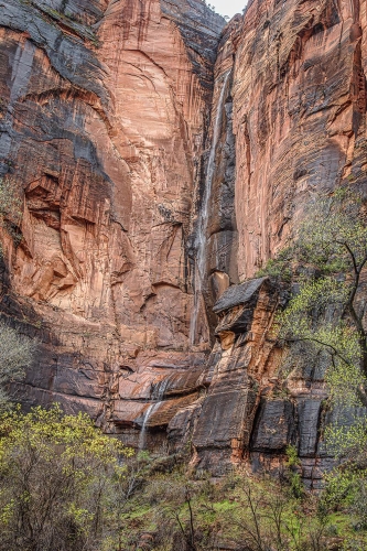 Waterfall in Zion